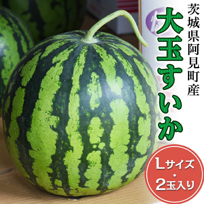 【ふるさと納税】スイカ 西瓜 2玉 先行予約 6月 果物 フルーツ 国産 阿見町 甘い 32-01茨城県産大玉すいか2玉（Lサイズ）【吉田農園】のサムネイル