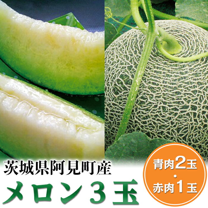 8位! 口コミ数「1件」評価「5」32-02茨城県阿見町産メロン3玉（青肉2玉・赤肉1玉）