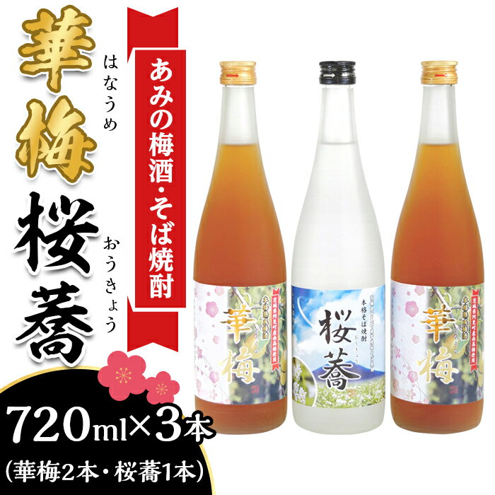 【ふるさと納税】酒 梅酒 焼酎 飲み