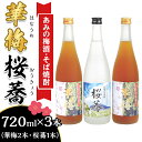 【ふるさと納税】酒 梅酒 焼酎 飲み