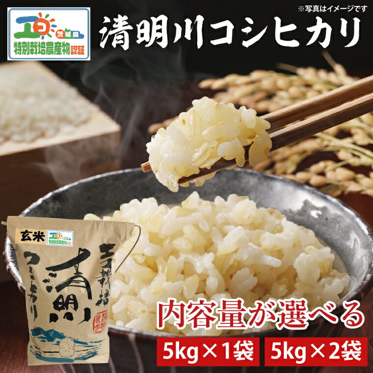 ڤդ뤵Ǽǡۡͽۡ٤̡ۡ7ǯơ 븩̺ǧ ҥ긼ơ5kgޤ10kg  ...
