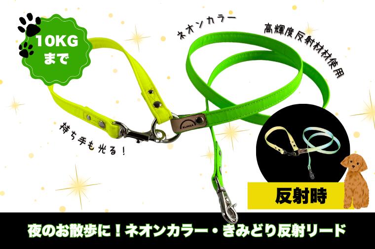 『ネオンカラー(黄緑)』オリジナル反射材の光る犬用リード[小型犬用10キロまで][散歩 愛犬 夜散歩 手作り 阿見町 茨城県](40-27)