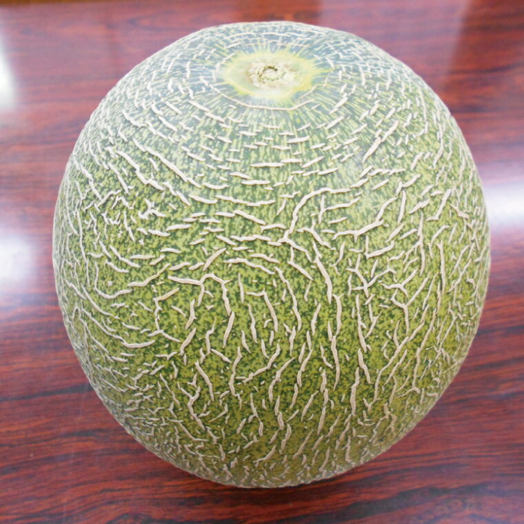 【ふるさと納税】茨城県産阿見グリーンメロン5kg(3玉)【秀品4L】先行予約【JA水郷つくば】フルーツ 果物 くだもの 甘い おいしい メロン 茨城県 阿見町【2026年6月下旬より順次発送】(20-03)