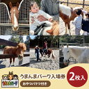 【ふるさと納税】55-01 うまんまパーク入場券(おやつバケツ付き)2枚セット【馬 パーク 牧場 乗馬 入場券 茨城県 阿見町】