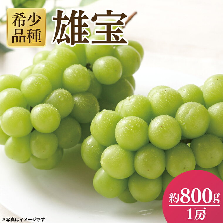 【先行予約】雄宝（ゆうほう）皮ごと食べられる大粒ぶどう（約900g）シャインマスカット マスカット ぶどう ブドウ 葡萄 1房 フルーツ 雄宝 希少品種【2026年10月上旬より順次発送予定】（49-04 ）