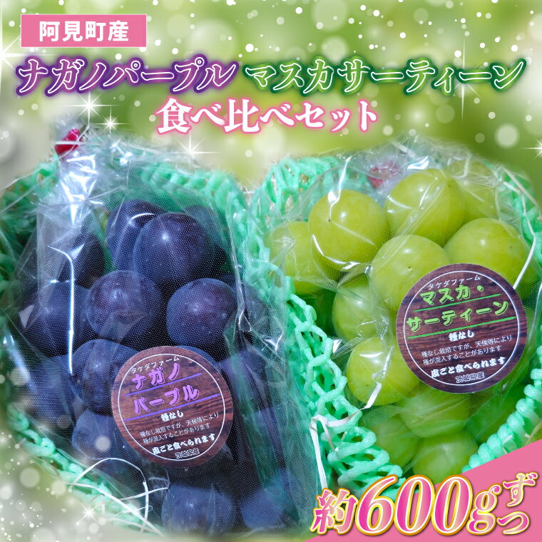 ぶどう ナガノパープル 1房 約600g マスカサーティーン 1房 約600g 食べ比べ セット 阿見町産 種無し 皮ごと 大粒 シャインマスカット 希少品種 ブドウ 葡萄 フルーツ 果物 旬 阿見町 茨城県 【2026年9月上旬以降発送】（49-16）