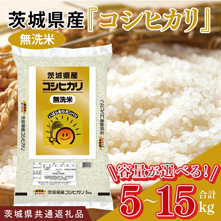 【ふるさと納税】【茨城県共通返礼品】【選べる内容量】令和7年産 茨城県産 無洗米コシ...