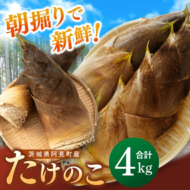 279位! 口コミ数「0件」評価「0.0」【先行予約】【2026年4月より発送開始】茨城県阿見町産 たけのこ4kg｜朝採れ 旬 春限定 数量限定 国産 タケノコ 筍 産地直送（25-01）