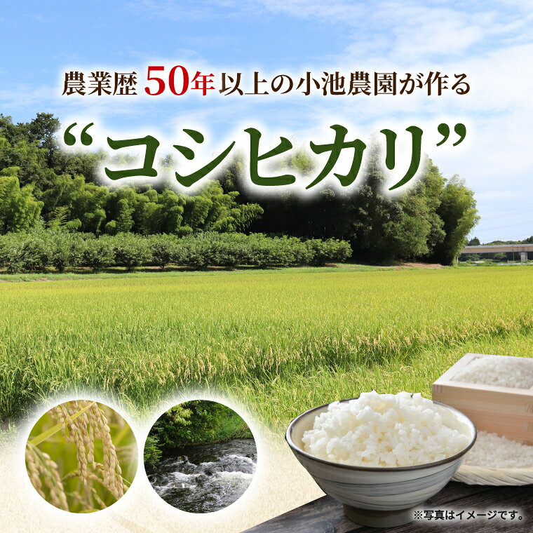 【ふるさと納税】米 コシヒカリ 精米 5kg新米 令和8年産 こめ こしひかり 茨城県産 農家直送 先行予約 単一米 単一原料米 茨城県 阿見町 【2026年10月中旬より順次発送】（68-01） f084433-ami-10000476 茨城県阿見町 サンプル画像2
