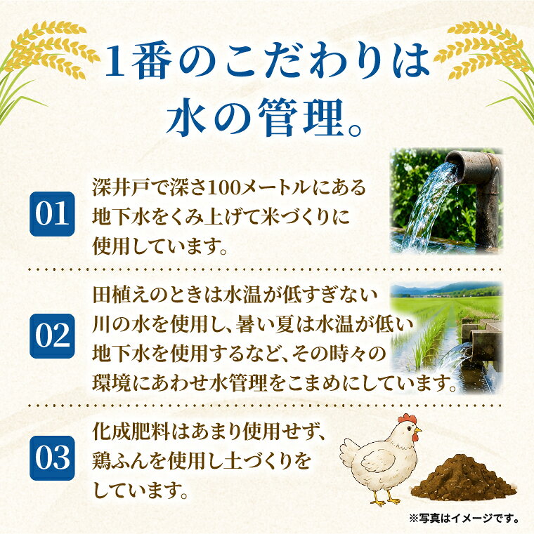 【ふるさと納税】米 コシヒカリ 精米 5kg新米 令和8年産 こめ こしひかり 茨城県産 農家直送 先行予約 単一米 単一原料米 茨城県 阿見町 【2026年10月中旬より順次発送】（68-01） f084433-ami-10000476 茨城県阿見町 サンプル画像3