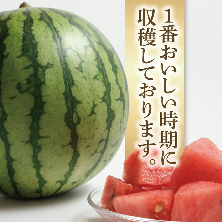 【ふるさと納税】先行予約 スイカ 西瓜 8.5kg～9kg 1玉 山崎農園 産地直送 お取り...