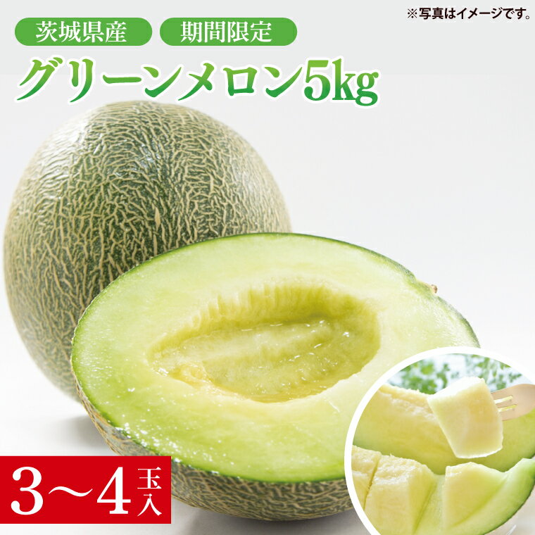 【ふるさと納税】【先行予約】グリーンメロン5kg（ 3玉入又は4玉入）【山崎農園】（2025年5月下旬～6月中旬頃にお届け）【フルーツ 果物 くだもの 甘い おいしい メロン 茨城県 阿見町】（70-02-1）のサムネイル