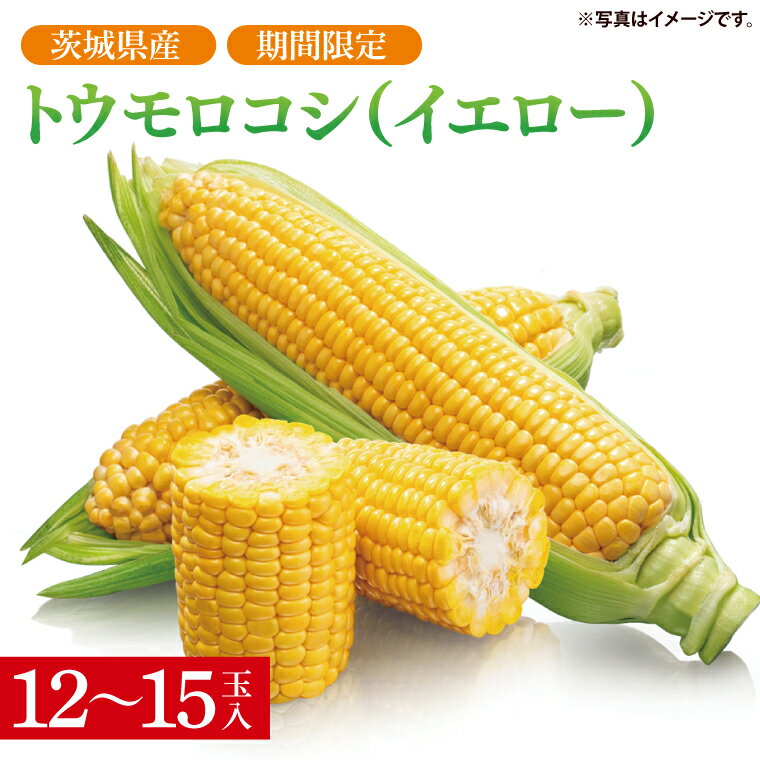 【ふるさと納税】【先行予約】トウモロコシ(イエロー)(12~15本入)【山崎農園】(2025年6月上旬~7月下旬頃にお届け)【とうもろこし コーン 甘い おいしい 茨城県 阿見町】(70-04-1)