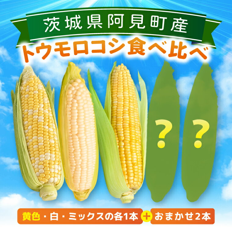 【ふるさと納税】とうもろこし 朝採り 食べ比べ 5本 セット 先行予約 茨城県 阿見町産 産地直送 フルーツコーン トウモロコシ コーン 黄 白 ミックス おすすめ 甘い 新鮮 国産 夏 旬 野菜 お取り寄せ 【2026年6月発送】（73-03）