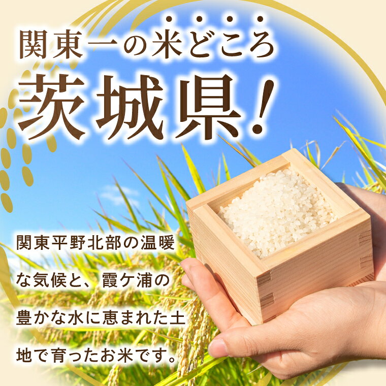 【ふるさと納税】新米 令和8年産 先行予約 茨城県産 コシヒカリ あきたこまち にじのきらめき ミルキークイーン 白米 精米 単一原料米 2kg 5kg 10kg 15kg 20kg ごはん ご飯 お米 f084433-ami-10000539 茨城県阿見町 サンプル画像3