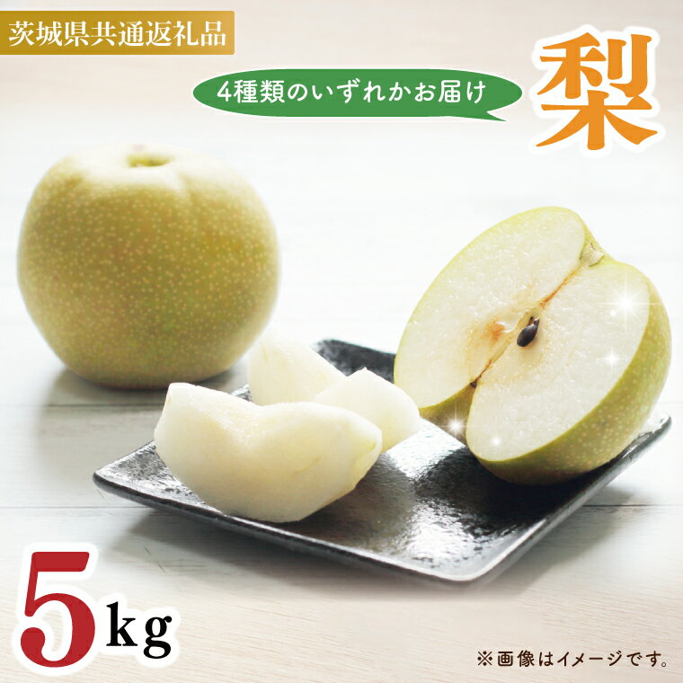 [茨城県共通返礼品][先行予約]梨5kg(石岡市、下妻市、かすみがうら市産)[8月下旬より発送]4種類の中からランダムにお届け★ フルーツ 果物 幸水 豊水 秋月 新高(88-01)