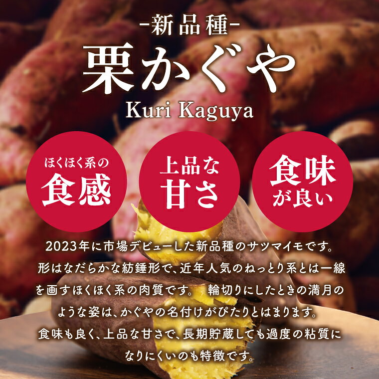 【ふるさと納税】さつまいも 5kg あまはづき 甘藷 先行予約 甘い さつま芋 サツマイモ 薩摩芋 栗かぐや 生芋 ほくほく 茨城県産 茨城県 阿見町【2026年12月中旬より順次発送予定】(90-01)