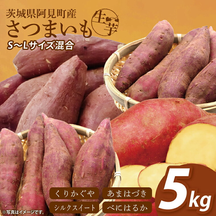 さつまいも 5kg あまはづき 甘藷 先行予約 甘い さつま芋 サツマイモ 薩摩芋 栗かぐや 生芋 ほくほく 茨城県産 茨城県 阿見町[2026年12月中旬より順次発送予定](90-01)