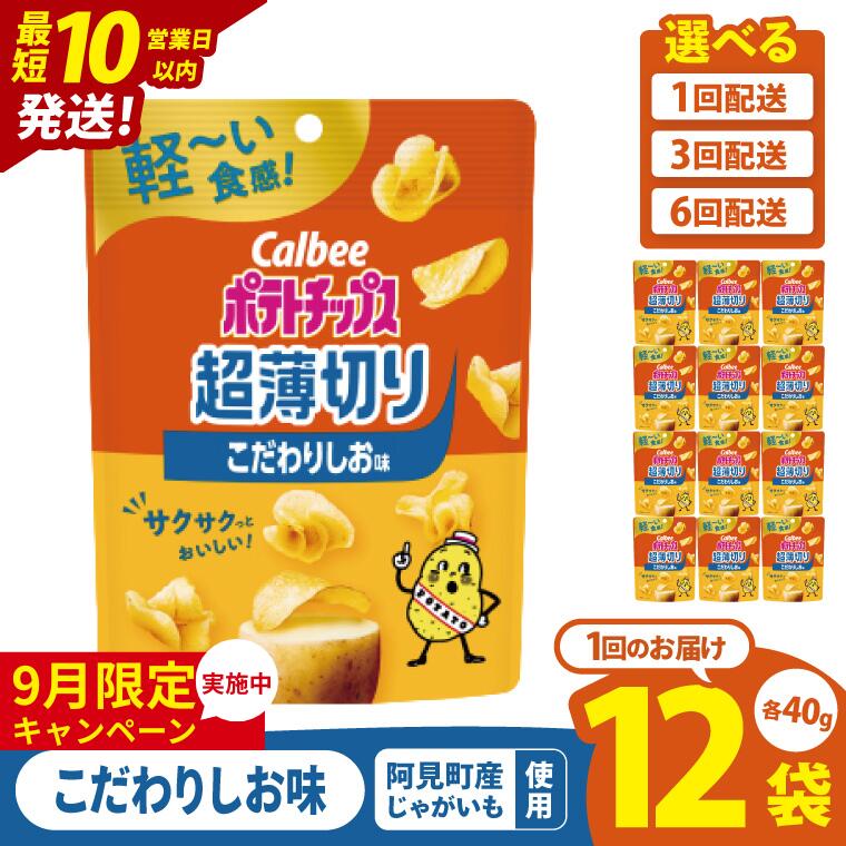 【ふるさと納税】【9月限定価格】【選べる定期便回数】【10営業日以内に出荷】カルビー ポテトチップス 超薄切りこだわりしお味 40g×12個｜Calbee お菓子 菓子 おやつ おかし ぽてち ポテチ スナック おつまみ ジャガイモ じゃがいも（93-100）のサムネイル