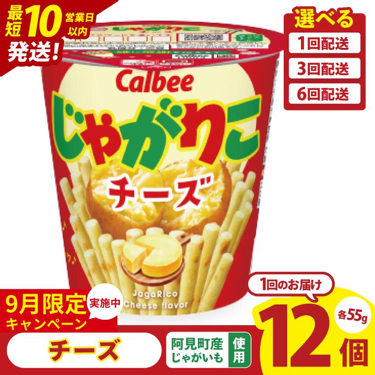 【ふるさと納税】【9月限定価格】【10営業日以内に出荷】【選べる定期便回数】カルビー じゃがりこチーズ（55g）12個・12個×3回・12個×6回｜Calbee お菓子 菓子 おやつ おかし スナック おつまみ ジャガイモ じゃがいも（93-19）のサムネイル