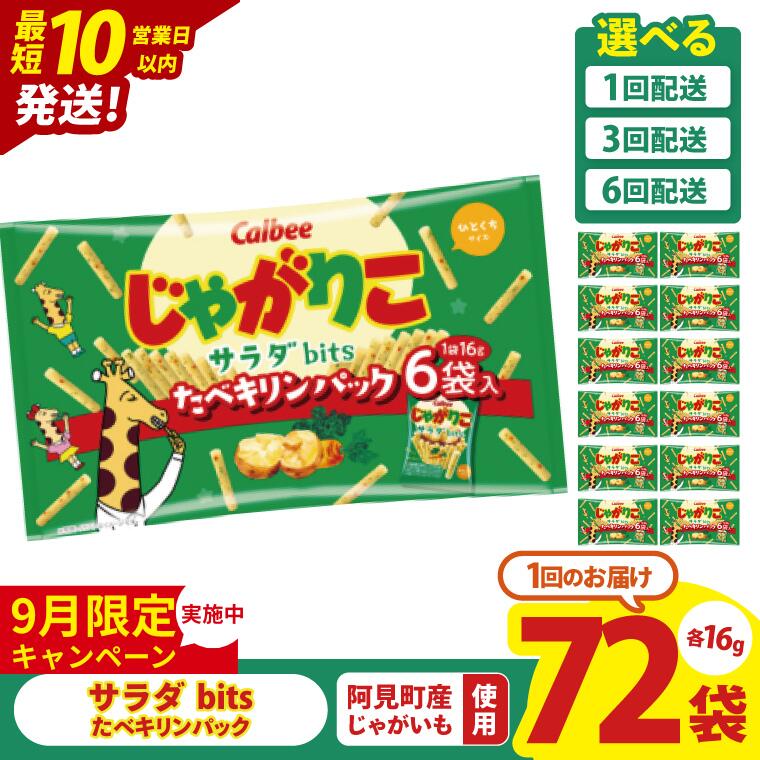 【ふるさと納税】【9月限定価格】【10営業日以内に出荷】【選べる定期便回数】カルビー じゃがりこサラダ bits たべキリンパック 96g(16g×6袋)×12個｜Calbee お菓子 菓子 おやつ おかし ぽてち ポテチ スナック おつまみ ジャガイモ じゃがいも（93-76）のサムネイル