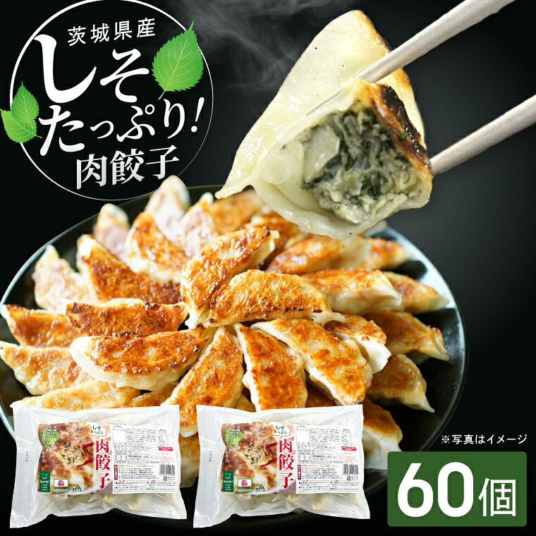 【ふるさと納税】餃子 肉餃子 しそたっぷり肉餃子 30個×2袋 ローズポーク ブランド豚 餃子 ぎょうざ 中華 そうざい 青しそ シソ 惣菜 時短 簡単調理 冷凍 【茨城県共通返礼品/行方市産】（96-07)