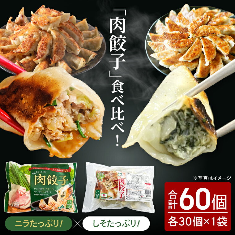 【ふるさと納税】餃子 肉餃子 しそたっぷり肉餃子 ニラたっぷり肉餃子 各30個×2袋 ローズポーク ブランド豚 ぎょうざ 中華 そうざい 青しそ シソ にら 惣菜 時短 簡単調理 冷凍 【茨城県共通返礼品/行方市産】（96-08)