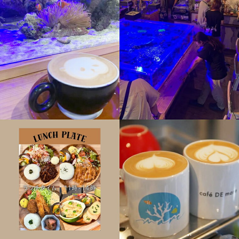 【ふるさと納税】海のあるカフェ cafe DE mare 商品券（お食事券1枚 1100円分）｜コーヒー ドリンク 食事 生菓子 焼き菓子 大型水槽 海洋魚 隠れ家（97-01）