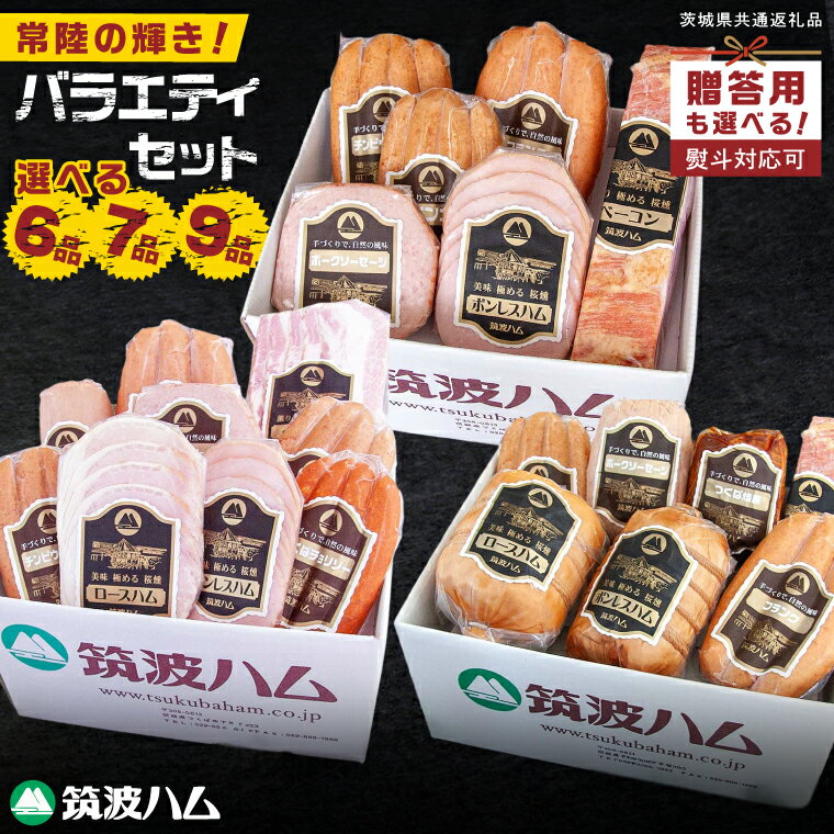 常陸の輝き バラエティセット 6品・7品・9品[選べる内容量・熨斗有無]国産豚 お取り寄せ グルメ 人気 冷蔵 詰め合わせ ギフト おかず ご当地グルメ ディナー 食べ比べ パーティー[茨城県共通返礼品/つくば市](106-05)