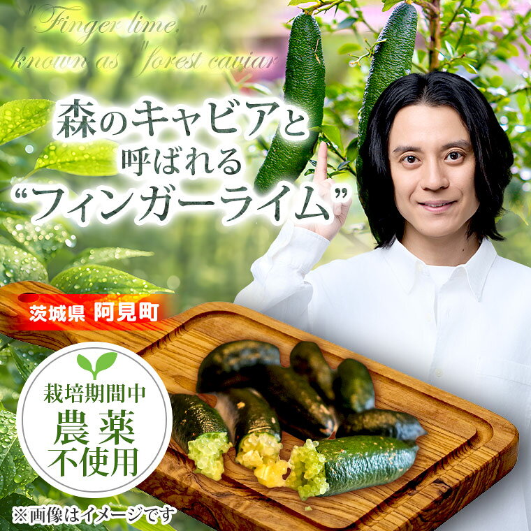 ライム フィンガーライム アソート 6本 ～ 8本（80g前後） 果物 フルーツ 果実 品種 おまかせ 無農薬 農薬不使用 プチプチ 柑橘 らいむ 【先行予約・2026年9月より順次発送予定】（108-01）
