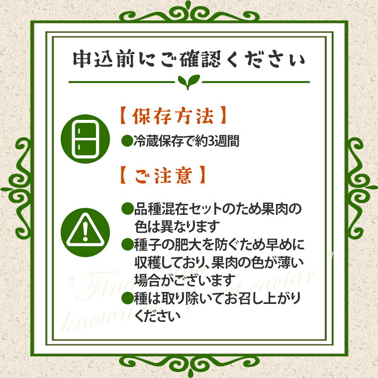 茨城県阿見町の【ふるさと納税】ライム フィンガーライム アソート 6本 ～ 8本 果物 フルーツ 果実 品種 おまかせ 無農薬 農薬不使用 プチプチ 柑橘 らいむ 【先行予約・2026年9月より順次発送予定】（108-01）｜アングル3
