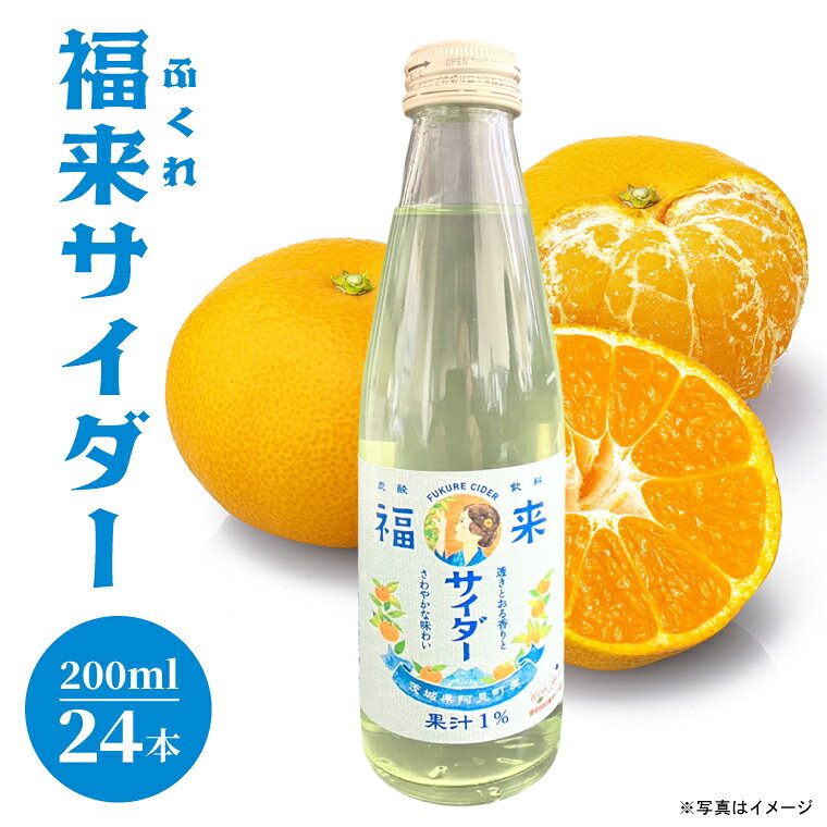 数量限定 サイダー 福来 炭酸 炭酸飲料 瓶 200ml 24本 ソーダ 飲料水 ジュース みかん ミカン 学生考案 お土産 ギフト（109-01）