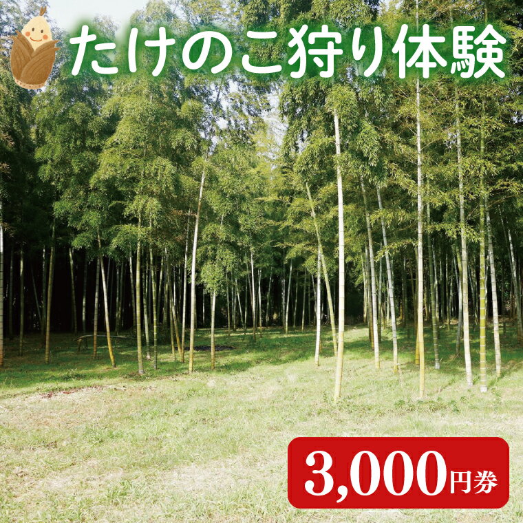 [2026年3月下旬より発送開始]『茨城県阿見町』1日2組限定 たけのこ狩り体験 3,000円券|収穫体験 食育 農業体験 自然体験 旬 春限定 レジャー タケノコ 筍 季節イベント(23-02)