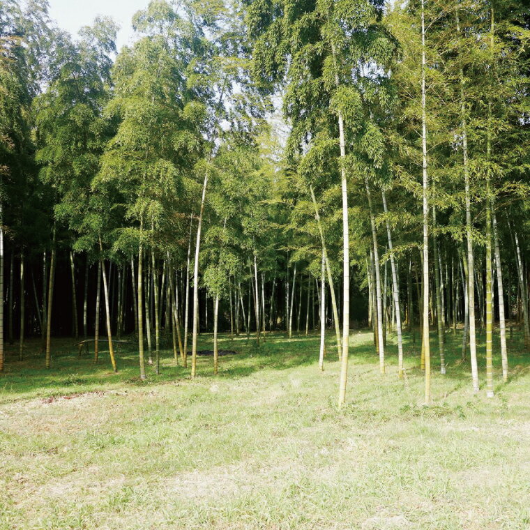 茨城県阿見町の画像3