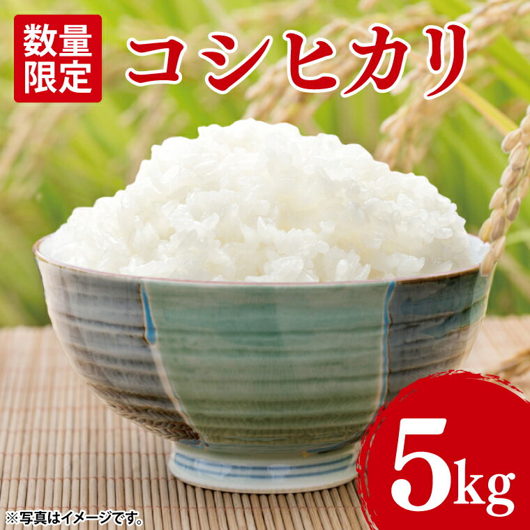 楽天市場】新米 茨城県 こしひかりの通販 楽天市場】新米 茨城県 こしひかりの通販