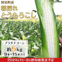 12位! 口コミ数「0件」評価「0」とうもろこし 約5kg 白いとうもろこし 朝採れ クール便 20-24阿見町産朝採れとうもろこし約5kg（プラチナコーン・9本～15本入り）･･･ 