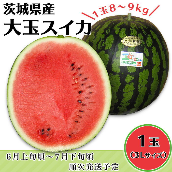 【ふるさと納税】スイカ 1玉 すいか 西瓜 果物 フルーツ 国産 阿見町 甘い 送料無料 20-27茨城県産大玉スイカ3Lサイズ（8～9kg）【大地のめぐみ】（2024年6月上旬～7月下旬頃にお届け）