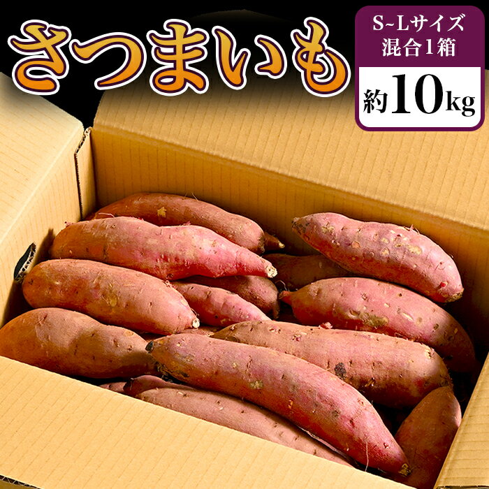 さつまいも 国産 紅はるか 無添加 ダイエット 食物繊維 キュアリング加工 長期 熟成 可能 いも長 66-06 さつまいも 約10kg S〜Lサイズ混合1箱 生芋 紅はるか