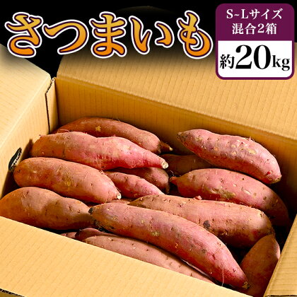 さつまいも 国産 紅はるか 無添加 ダイエット 食物繊維 キュアリング加工 長期 熟成 可能 いも長 66-07 さつまいも 約20kg S～Lサイズ混合2箱 生芋 紅はるか