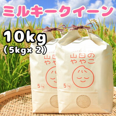 令和5年産『山田のややこ』ミルキークイーン(精米)10kg(5kg×2袋)【配送不可地域：離島・沖縄県】【1430875】