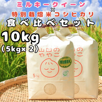 令和5年産『山田のややこ』ミルキ—クイーン(5kg)特別栽培米コシヒカリ(5kg)食べ比べセット[配送不可地域:離島・沖縄県]