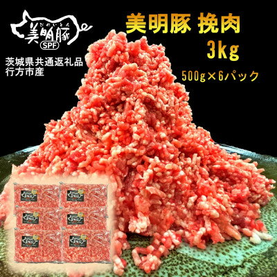 【美明豚】挽肉(500g×6パック)(茨城県共通返礼品・行方市産)【配送不可地域：離島・沖縄県】【1447994】