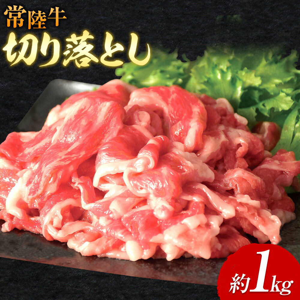 常陸牛 切り落とし 500g × 2パック 1kg ワークミート[30日以内に出荷予定(土日祝除く)]茨城県 河内町 常陸牛 和牛 切り落とし 焼肉 牛丼 肉じゃが 牛肉 牛 1000g