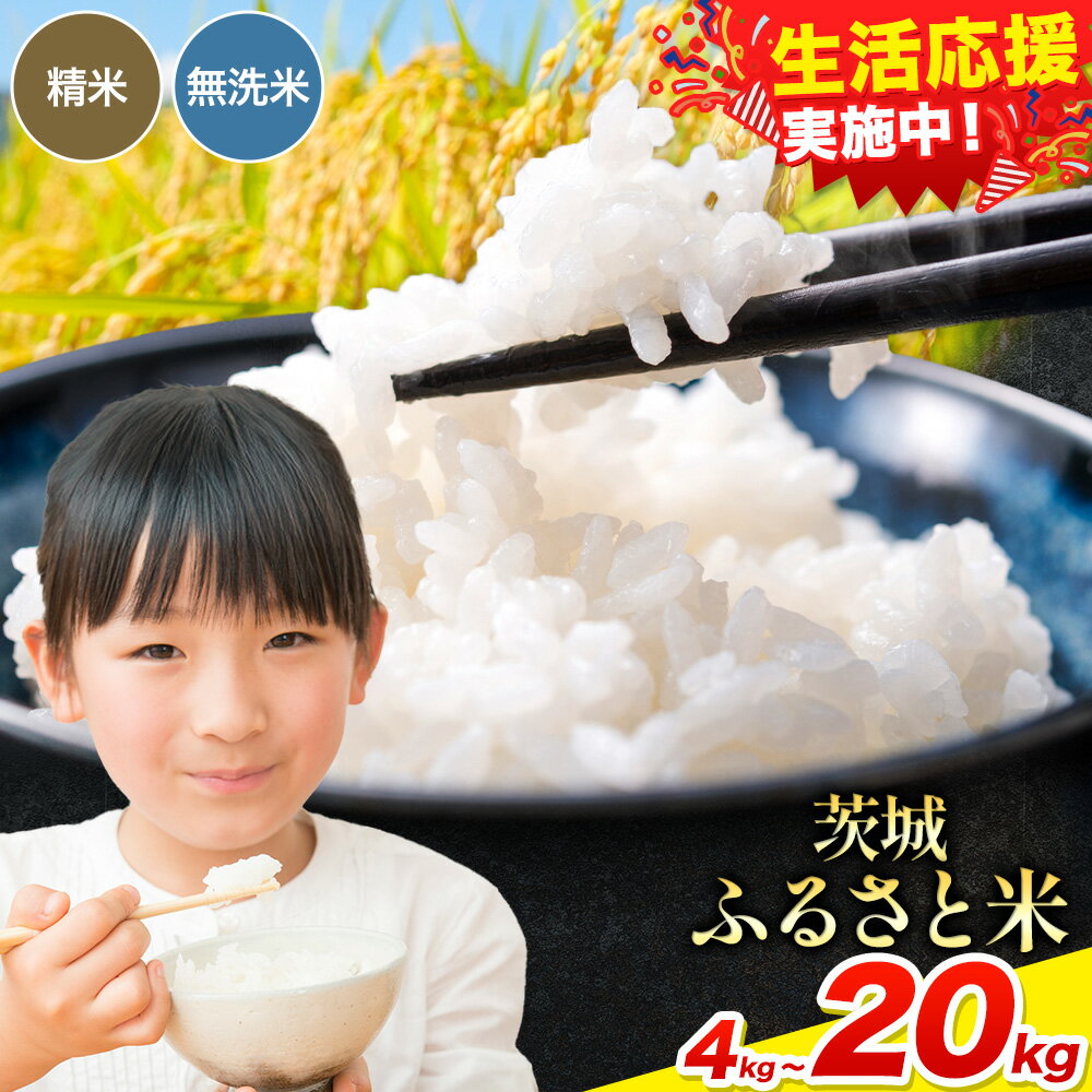 ڤդ뤵Ǽǡۡڳŷۡ»   դ뤵   ٤  ̵ 4kg 5kg 10kg 15kg 20kg ԽвٻӤա1 9-10в١ա  в١ 븩 Į      ˤ