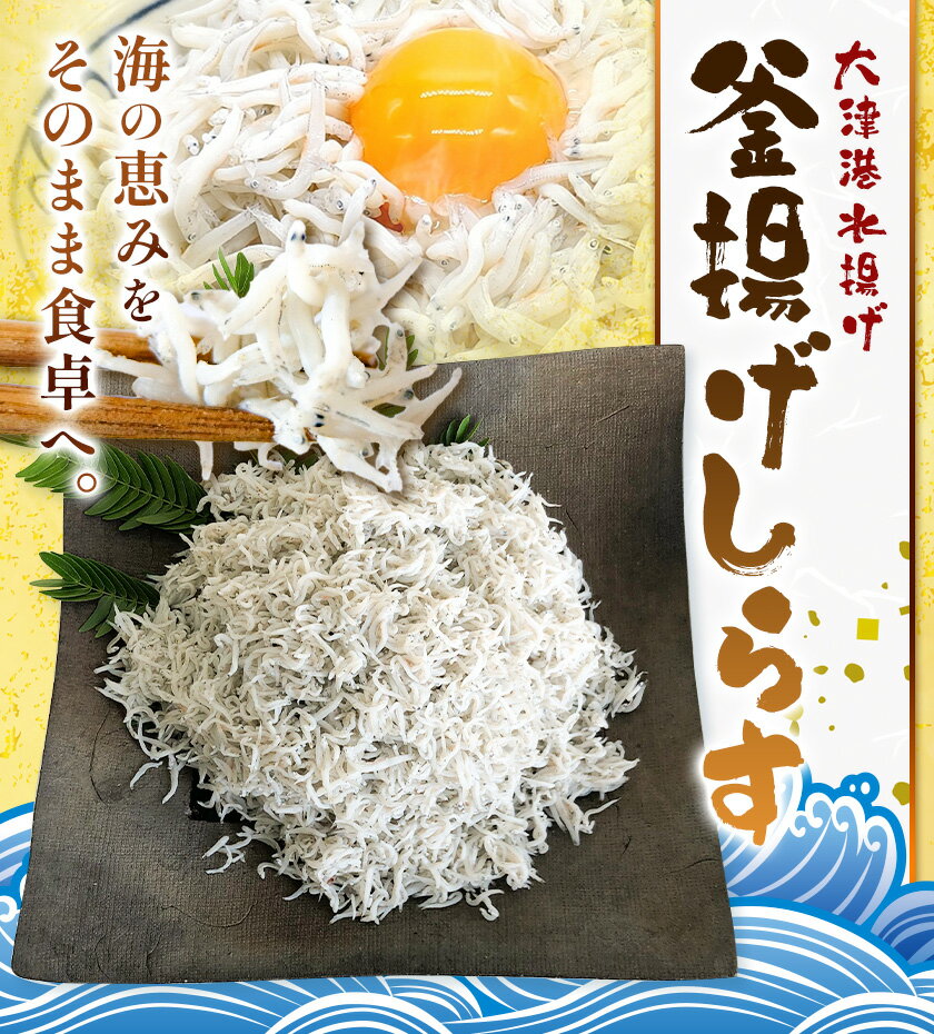 【ふるさと納税】釜揚げしらす 大津港水揚げ しらす 選べる 1kg 2kg 川崎水産株式会社 《30日以内に出荷予定(土日祝除く)》釜揚げ 減塩 茨城県 河内町 【配送不可地域あり】（沖縄・離島）