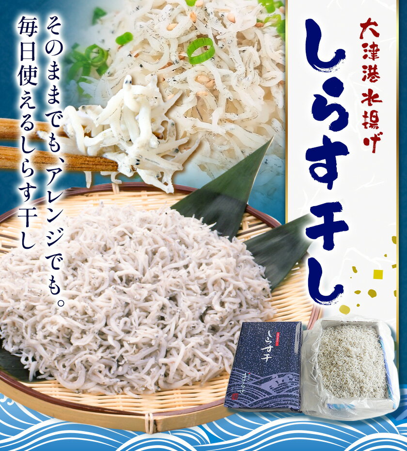 【ふるさと納税】しらす干し 大津港水揚げ しらす 選べる 1kg 2kg 川崎水産株式会社 《30日以内に出荷予定(土日祝除く)》しらす干 減塩 茨城県 河内町 【配送不可地域あり】（沖縄・離島）