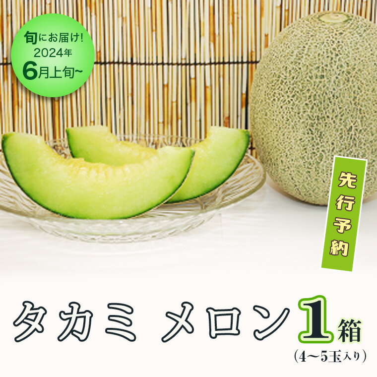 【ふるさと納税】＜先行予約＞【6月上旬以降発送】 タカミメロン 1箱 （4～5玉入り）期間限定 めろん 果物 フルーツ 甘いのサムネイル