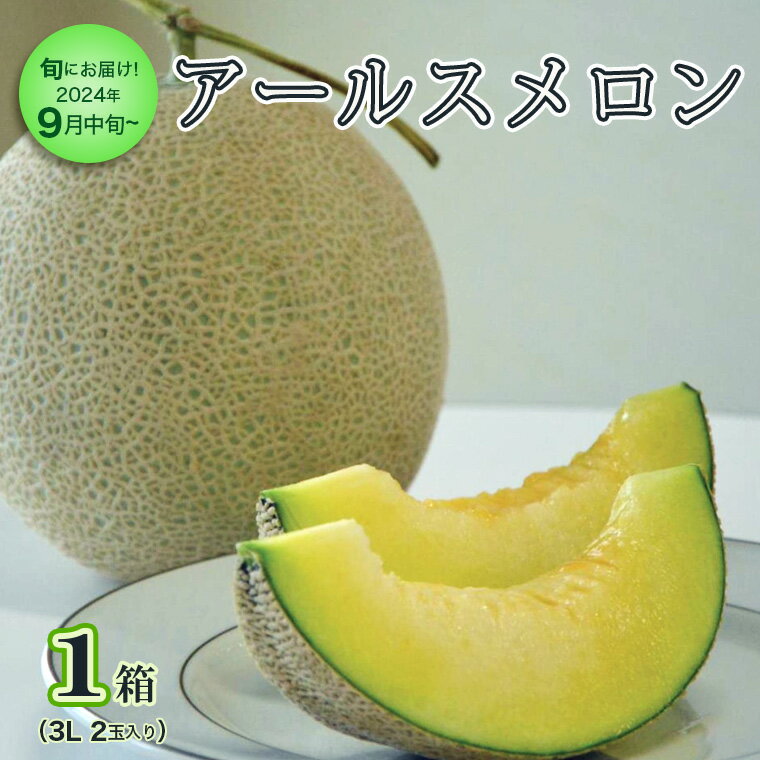 【ふるさと納税】＜先行予約＞【9月中旬以降発送】 アールスメロン 1箱 （3L 2玉 入り） 直送 フルーツ 果物 お取り寄せ 茨城県産 特産品 期間限定のサムネイル