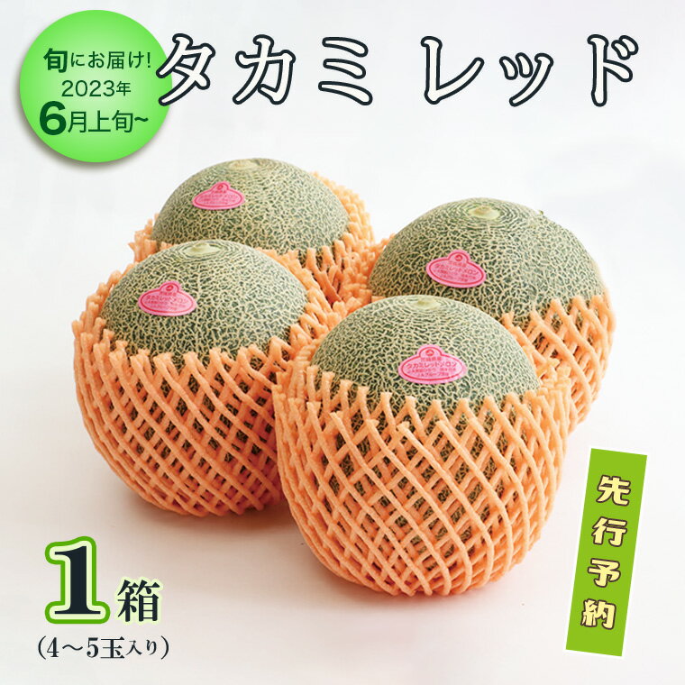 【ふるさと納税】＜先行予約＞【6月上旬以降発送】 タカミレッドメロン 1箱 （4～5玉入り） 期間限定 めろん 果物 フルーツ 甘いのサムネイル