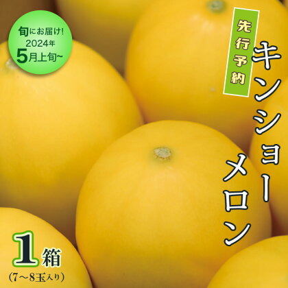 【 先行予約 】【 5月上旬 以降発送】 キンショーメロン 1箱 （ 7～8玉 入り） 期間限定 めろん 果物 フルーツ 甘い